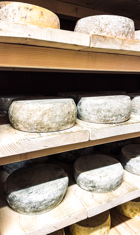 Tomme au Maceron (Portion 250g)