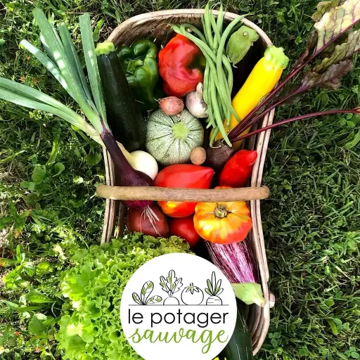 Panier de Légumes Bio à la carte - Le Potager Sauvage