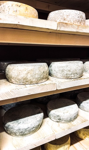 Tomme au Maceron